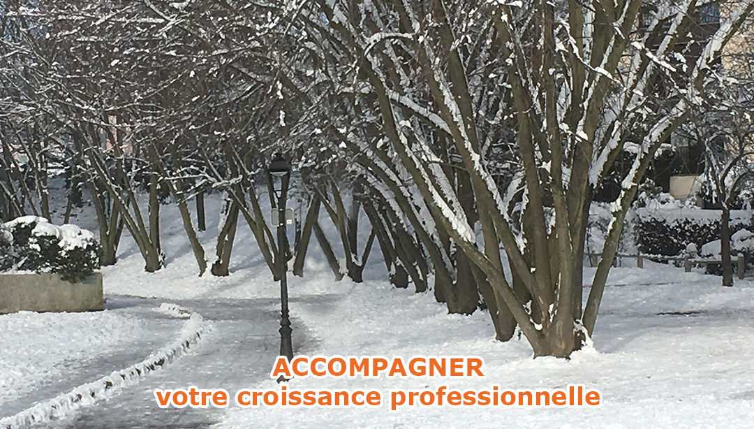 Protégé : slide1